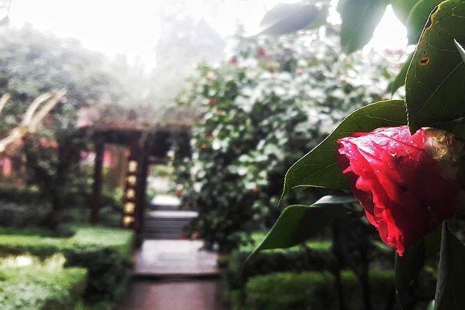 Mt Emei 1 day tour - An In-Depth Look at the Mt. Emei 1-Day Tour