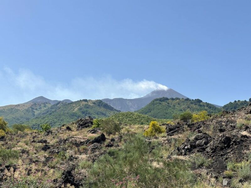 mt-etna-half-day-morning-or-sunset-tour-in-4x4