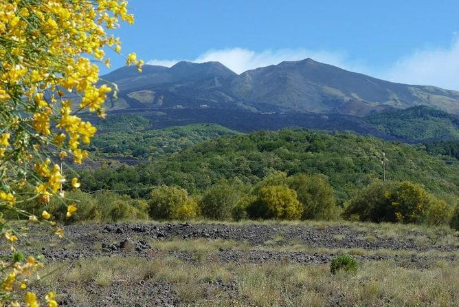 mt-etna-nature-and-flavors-half-day-tour-from-catania