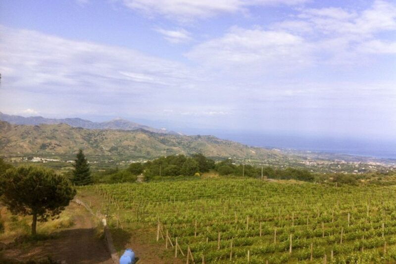 mt-etna-private-tour-with-food-and-wine-tasting