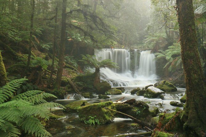 Mt Field, Mt Wellington & Tassie Devils Active Tour from Hobart - FAQ