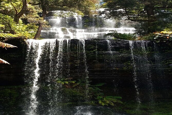 Mt Field National Park and Russell Falls from Hobart - Exploring Tasmania’s Wilderness: Mt Field and Russell Falls from Hobart
