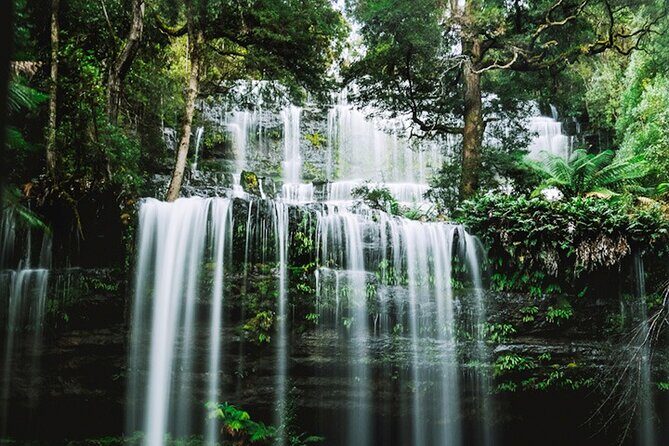 Mt Field National Park and Russell Falls from Hobart - Key Points
