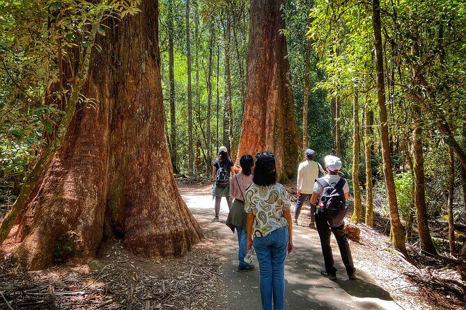 Mt Field National Park and Russell Falls from Hobart - Final Thoughts