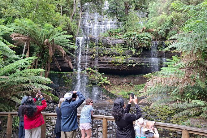 Mt Field Shore Excursion - Who Will Love This Tour?