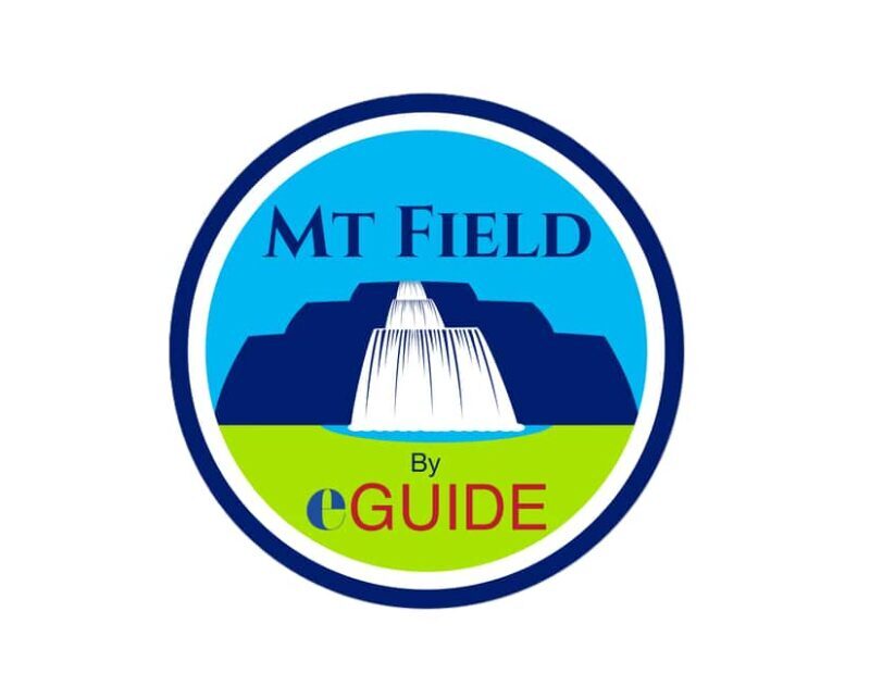 Mt Field Shore Excursion - Practical Details and Tips