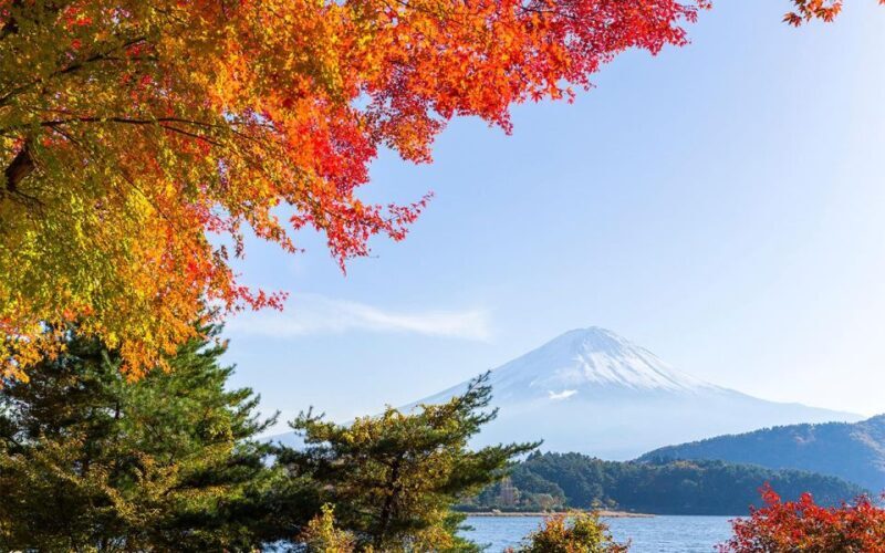 Mt Fuji : 10 hours Private Tour in Luxury Private Car - Final Thoughts: Is This Tour Right for You?