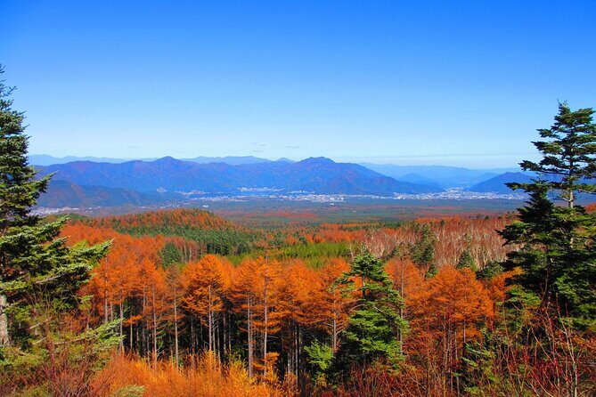 Mt. Fuji 5th St and Gotemba Outlets (Disband at Gotemba Outlets) - FAQs