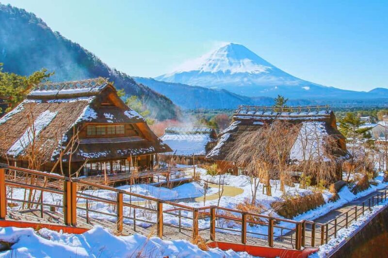 Mt. Fuji 6 Iconic Photo Spots Day Tour from Tokyo - Key Points