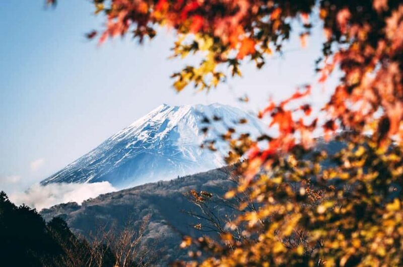 Mt.Fuji 6 Must-See Spots: Oshino& Lake Kawaguchi From Tokyo - Key Points