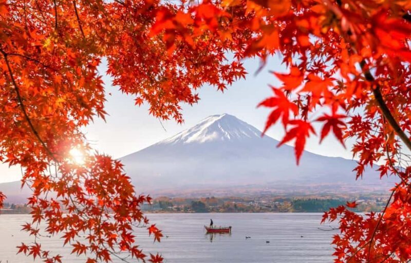 Mt.Fuji 6 Must-See Spots: Oshino& Lake Kawaguchi From Tokyo - Practical Details and What to Expect