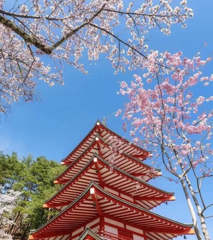 Mt.Fuji 6 Must-See Spots: Oshino& Lake Kawaguchi From Tokyo - FAQ