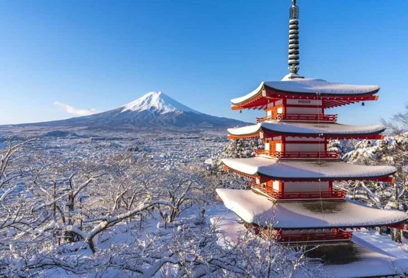 Mt. Fuji 6 Scenic Day Tour: Kawaguchiko & Lake Yamanaka - The Sum Up: Who Will Appreciate This Tour?