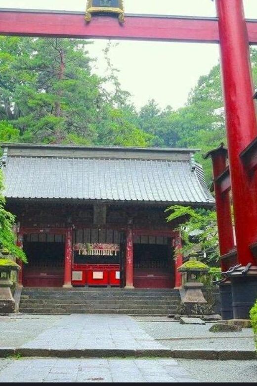 Mt.FUji and Cherry Blossom Full Day Trip with English Driver - An In-Depth Look at the Tour Experience