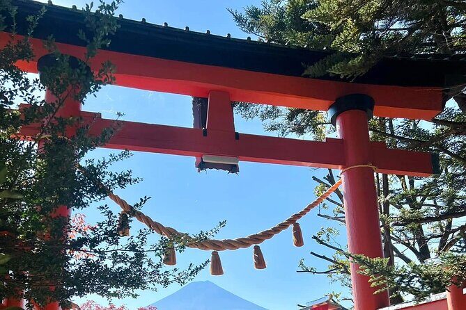 Mt. Fuji and Gotemba Outlet Private Day Trip From Tokyo - Key Points