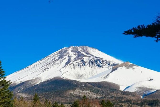 mt-fuji-and-hakone-1-day-bus-tour-return-w-shinkansen