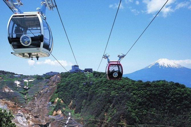 mt-fuji-and-hakone-day-trip-from-tokyo-with-bullet-train-option