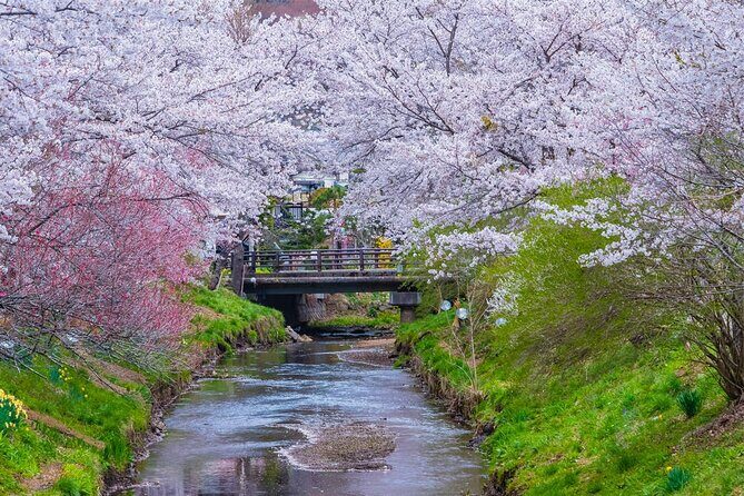 Mt Fuji and Hakone Day Trip from Tokyo with Ropeway Experience - Key Points