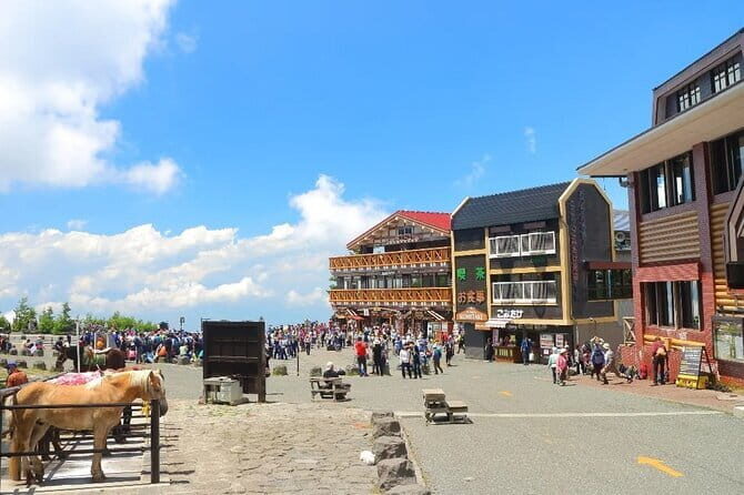 Mt Fuji and Hakone One Day Tour departure from Tokyo with lunch - The Practical Side — What You Need to Know