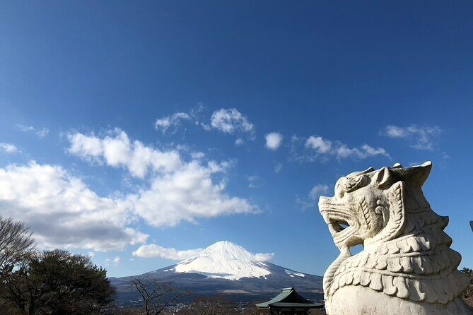 Mt. Fuji and Hakone Private Day Tour by Bullet Train and Car - Cost Analysis & Who This Tour Is For