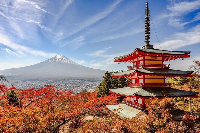 mt-fuji-and-hakone-private-day-tour-with-english-speaking-driver