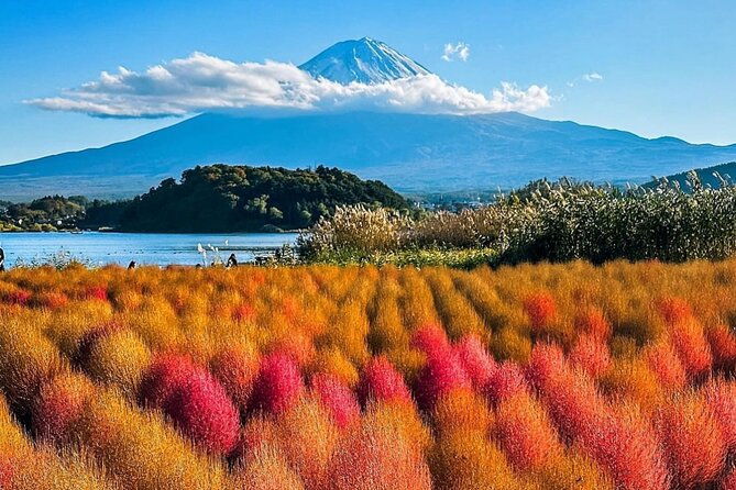 mt-fuji-and-hakone-private-day-tour-with-english-speaking-driver
