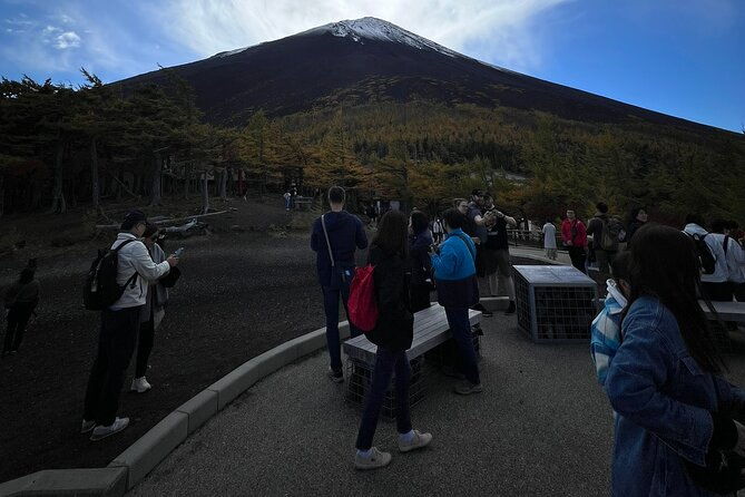 mt-fuji-and-hakone-private-sightseeing-day-tourfrom-tokyo