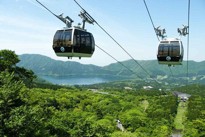 mt-fuji-and-hakone-private-sightseeing-day-tourfrom-tokyo