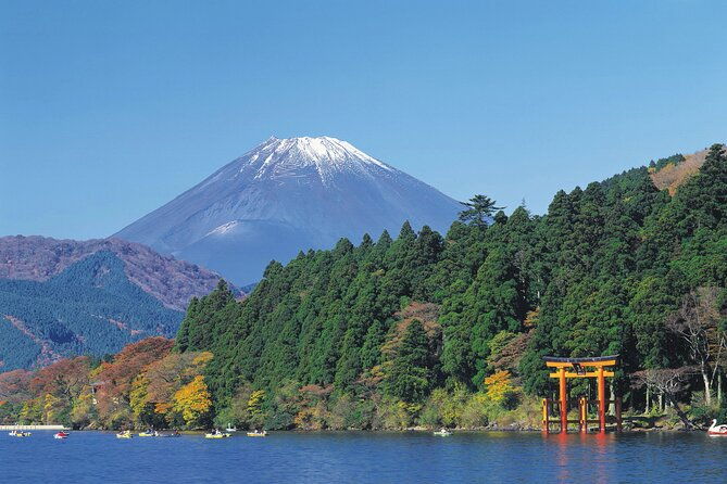 mt-fuji-and-hakone-private-sightseeing-day-tourfrom-tokyo