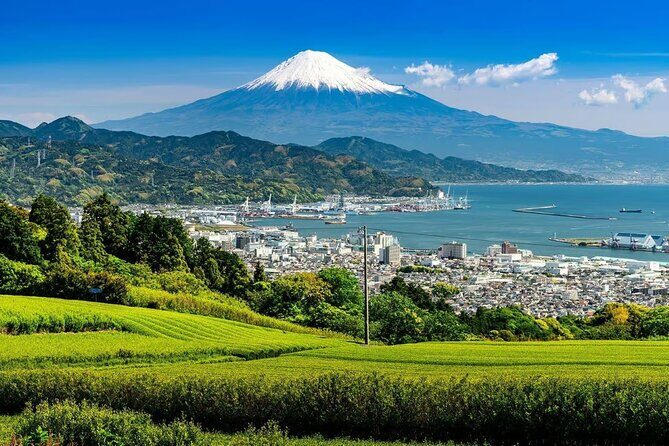 Mt Fuji and Hakone Private tour in Luxury Vehicle with Pro guide - Frequently Asked Questions