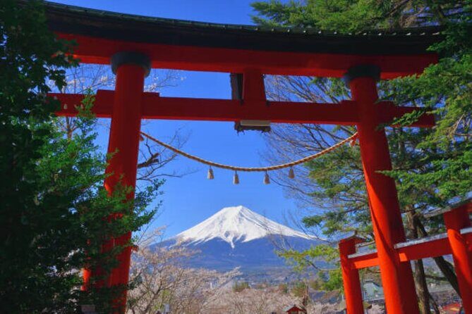 Mt Fuji and Hakone Private tour in Luxury Vehicle with Pro guide - Final Thoughts
