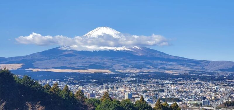 Mt Fuji and Hakone Private Tour With English Speaking Driver - Why Choose This Tour?