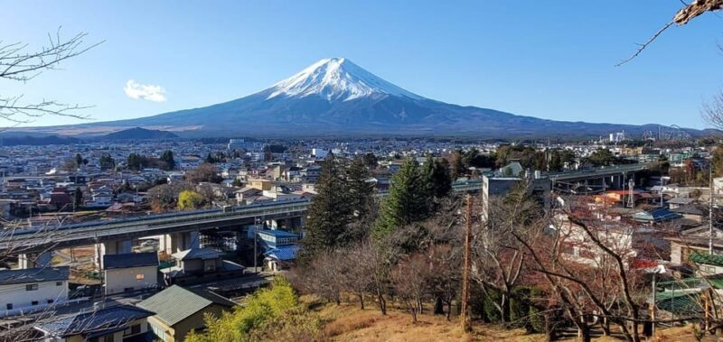 Mt Fuji and Hakone Private Tour With English Speaking Driver - What’s Included and What’s Not?
