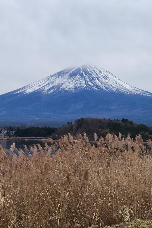 Mt Fuji and Hakone Private Tour With English Speaking Driver - How the Experience Feels in Practice