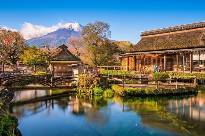 Mt. Fuji and Hakone Private Tour with English Speaking Driver - In-Depth Look at the Itinerary