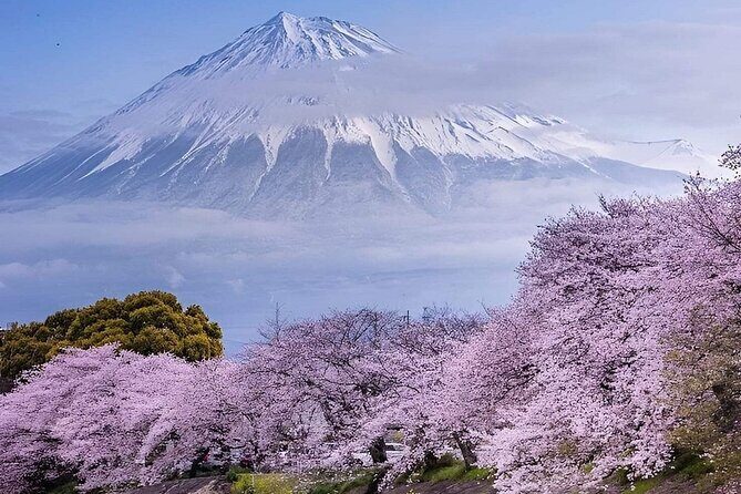 Mt. Fuji and Hakone Private Tour with English Speaking Driver - Why Choose a Private Tour?