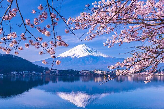 Mt. Fuji and Hakone Private Tour with English Speaking Driver - Itinerary Breakdown: What You’ll See and Experience