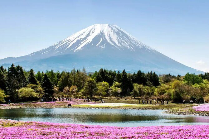 Mt. Fuji and Hakone Private Tour with English Speaking Driver - Is It Worth the Price?