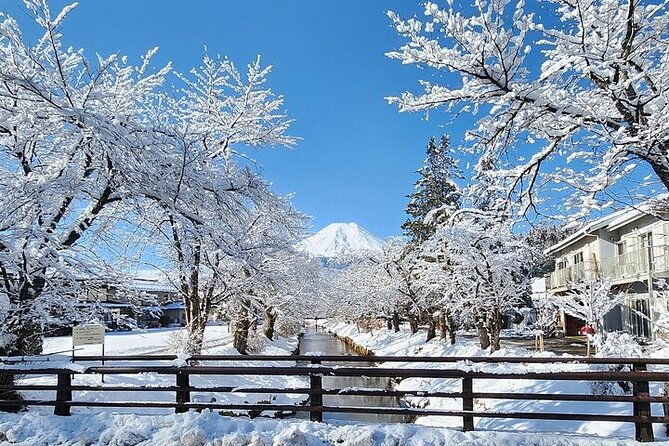 mt-fuji-and-hakone-private-tour-with-english-speaking-driver