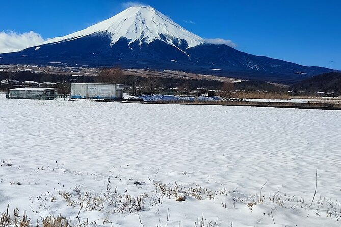 mt-fuji-and-hakone-private-tour-with-english-speaking-driver