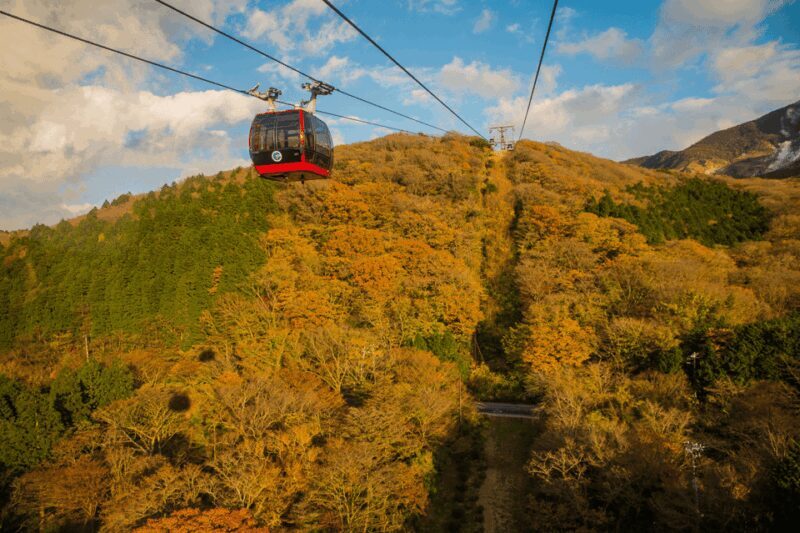 Mt.Fuji and Hakone Tour - Introduction: Why This Tour Deserves Your Consideration