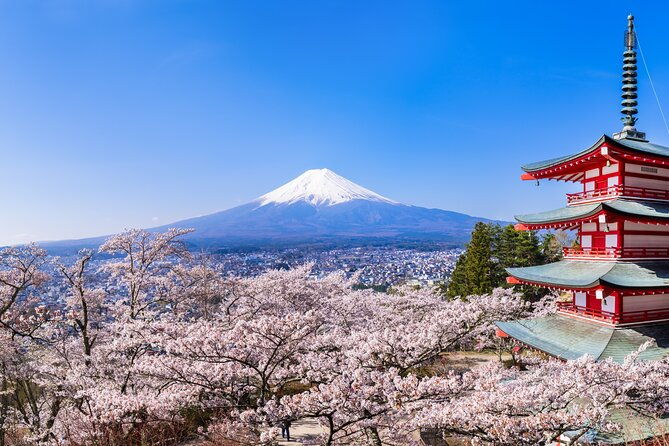 mt-fuji-and-hakone-tour