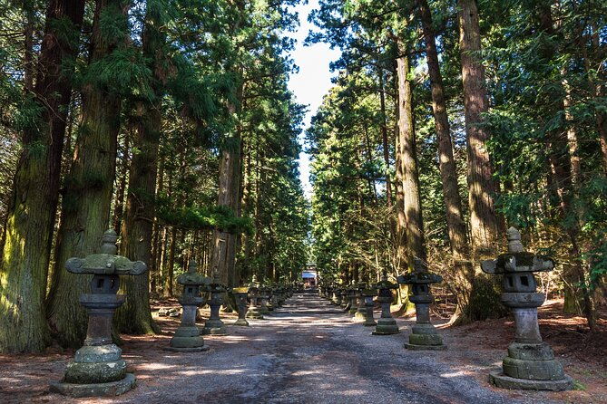 mt-fuji-and-hakone-tour