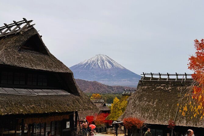 Mt Fuji and Lake Kawaguchi 1-Day Luxury Bus Tour From Tokyo - The Sum Up: Who Should Consider This Tour?