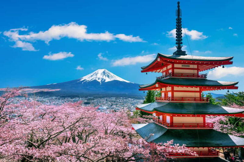 Mt Fuji and Lake Kawaguchi Day Tour With English Driver - Potential Drawbacks and Considerations