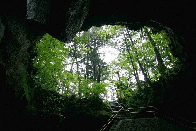 Mt. Fuji Aokigahara Forest Tour with Licensed Guide and Vehicle - Why This Tour Stands Out