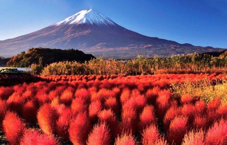 mt-fuji-arakura-sengen-parkoishino-hakkaikawaguchico-trip