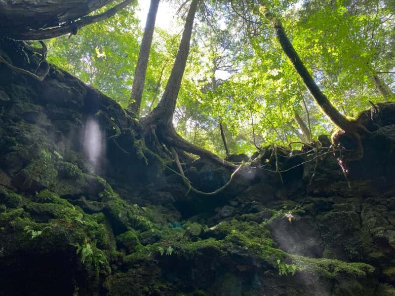 Mt Fuji Area: In-depth Guided Adventure in English - Who Should Book This Tour?