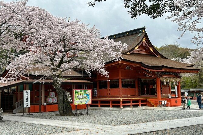 mt-fuji-area-tour-from-shimizu-port-medium-bus