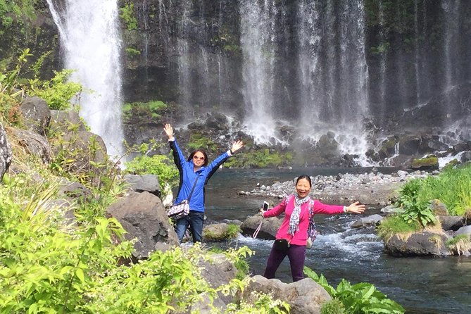mt-fuji-area-tour-from-shimizu-port-van-taxi